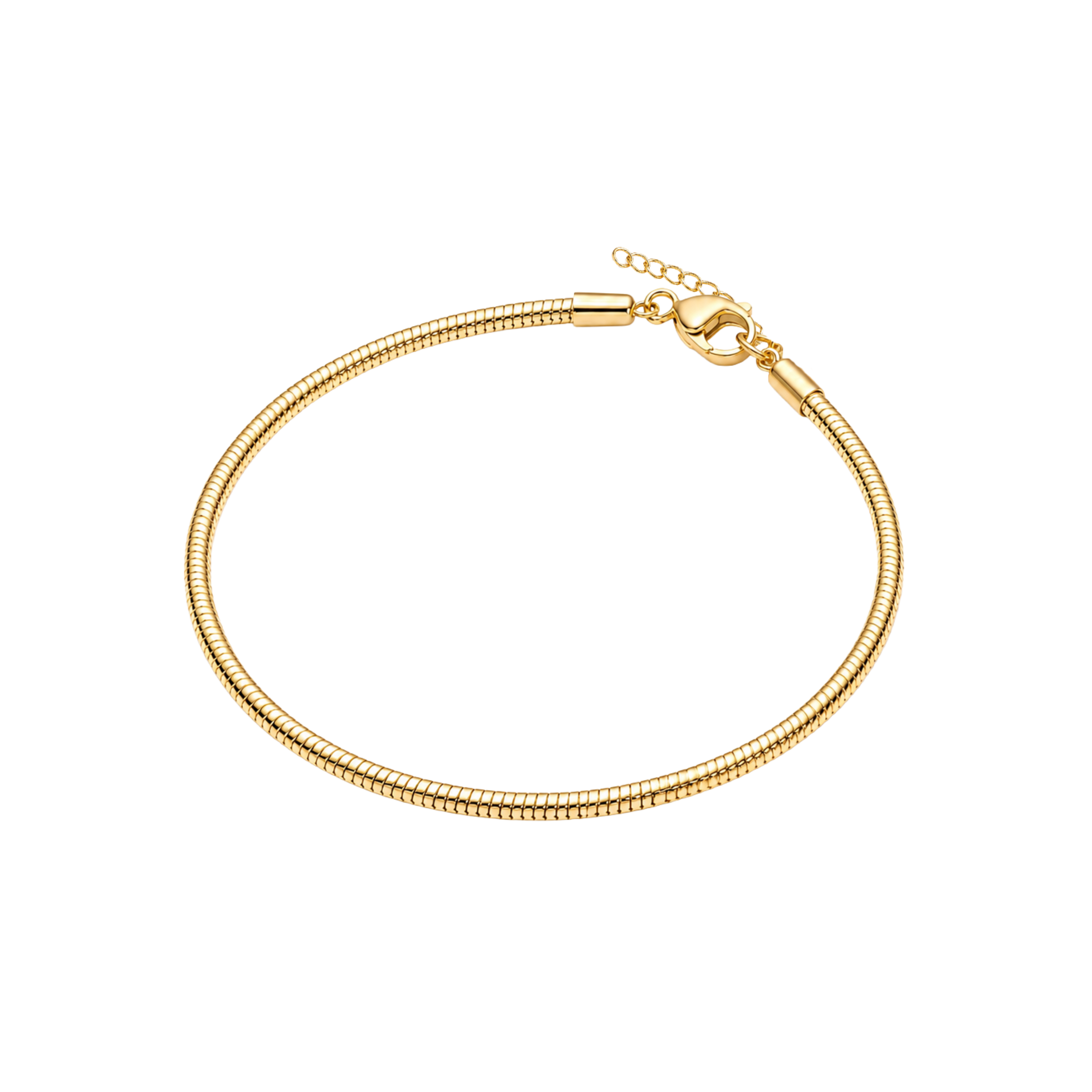 Charm Bracelet
